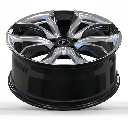 RR FEV03