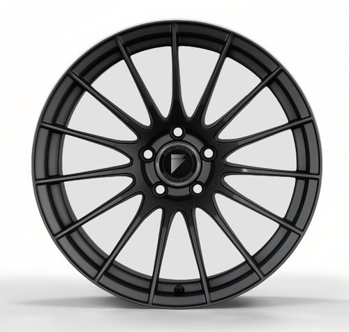 RR FSM09