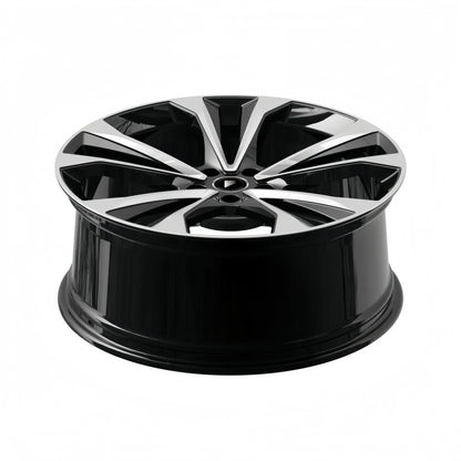 RR FEV06