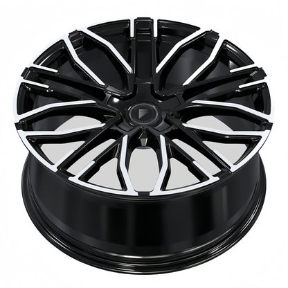 RR FEV07