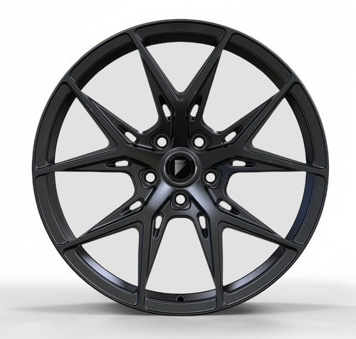 RR FSM12