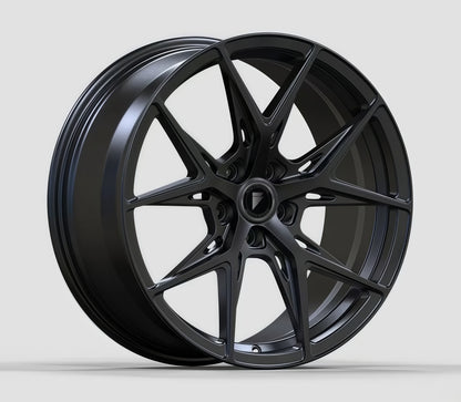 RR FSM12